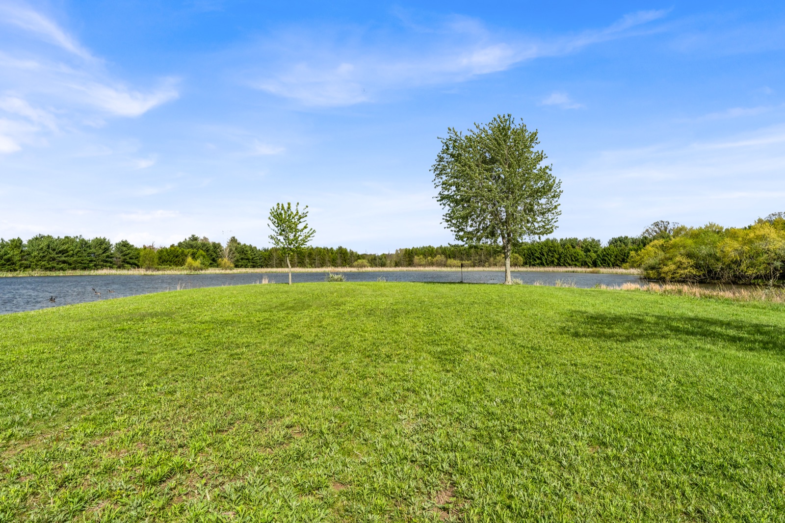 Pond and waterfront property